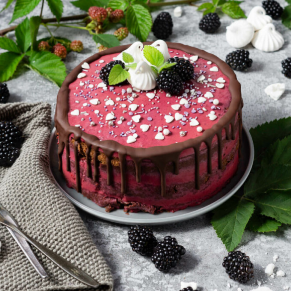 Brombeer Torte mit Schokolade