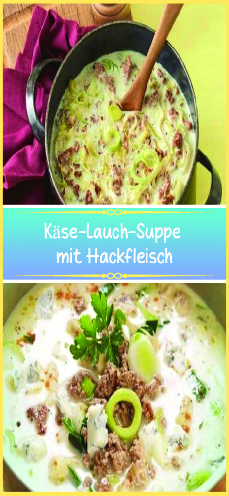 Käse-Lauch-Suppe mit Hackfleisch