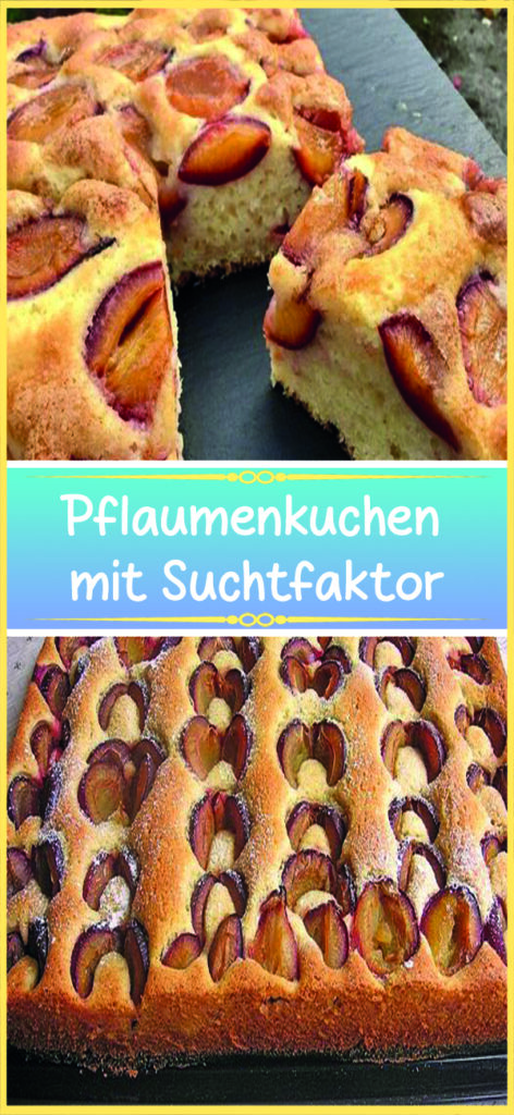 Pflaumenkuchen mit Suchtfaktor