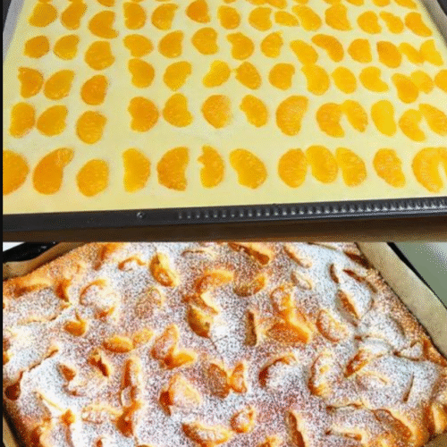Mandarinen Blechkuchen